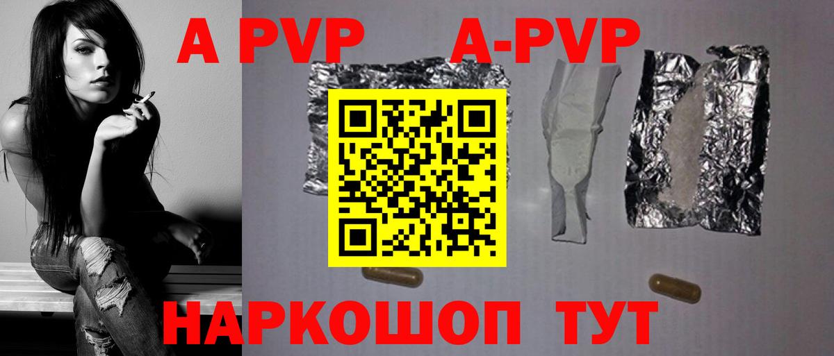 Alfa_PVP СК КРИС Майкоп