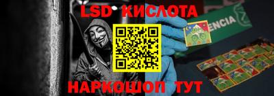 шишки Будённовск