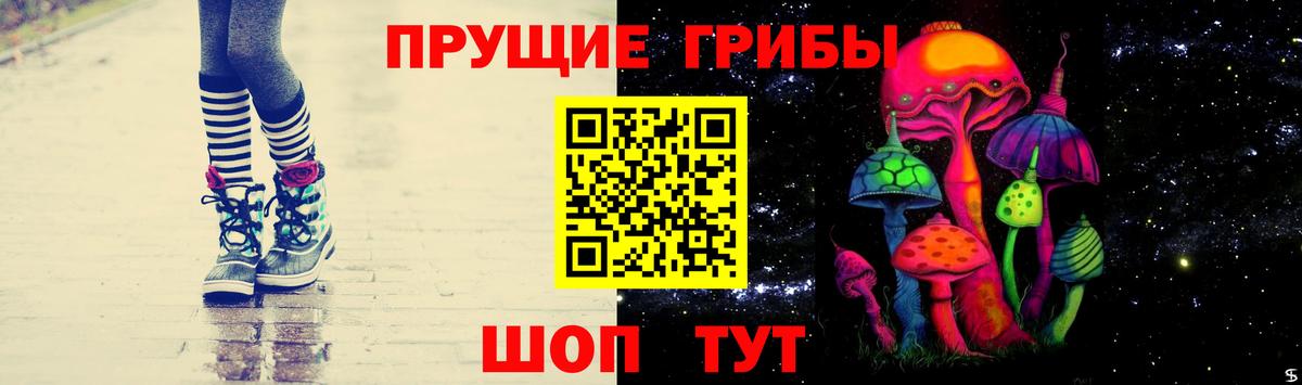 Псилоцибиновые грибы GOLDEN TEACHER Майкоп